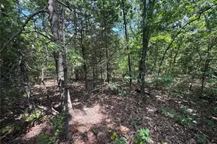 0 Rue Marne, Bonne Terre, MO 63628 - Photo 1