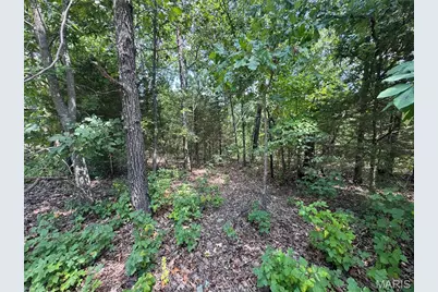 0 Rue Marne, Bonne Terre, MO 63628 - Photo 2