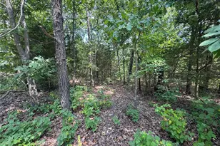 0 Rue Marne, Bonne Terre, MO 63628 - Photo 2