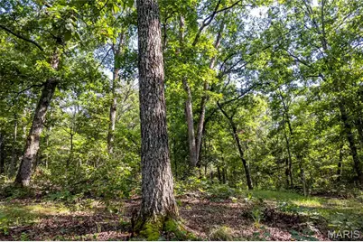00 Leweke Lane, Hermann, MO 65041 - Photo 4