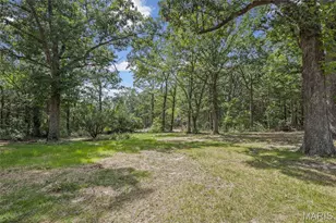 5418 Paw Paw Ln, De Soto, MO 63020 - Photo 46