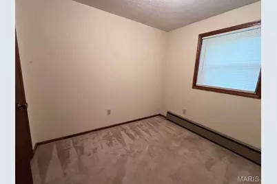 16 Monte Rosa Drive, De Soto, MO 63020 - Photo 14