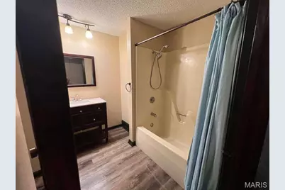 16 Monte Rosa Drive, De Soto, MO 63020 - Photo 12