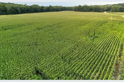 00 Tickridge Road, Elsberry, MO 63343 - Photo 10