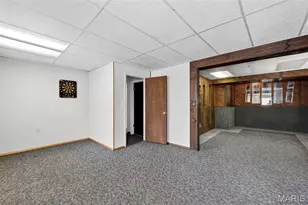 12021 Cedar Lake Ct, Maryland Heights, MO 63043 - Photo 42