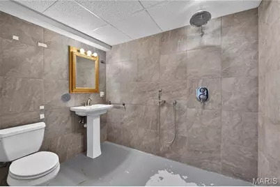 828 N Forest Avenue, Webster Groves, MO 63119 - Photo 24