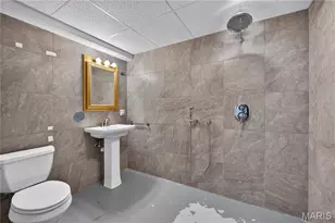 828 N Forest Ave, Webster Groves, MO 63119 - Photo 24