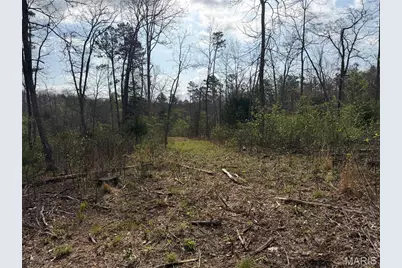 2A Furnace Creek Road, Potosi, MO 63664 - Photo 14