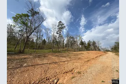 2A Furnace Creek Road, Potosi, MO 63664 - Photo 18