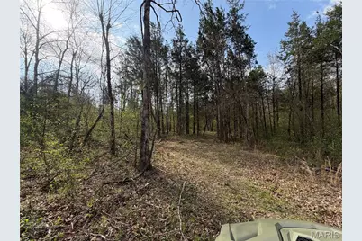 2B Furnace Creek Road, Potosi, MO 63664 - Photo 8