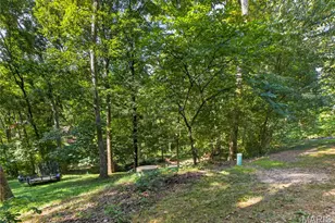 19334 Ossenfort Ct, Glencoe, MO 63038 - Photo 46