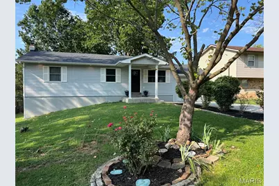 502 Donaldson Street, De Soto, MO 63020 - Photo 1