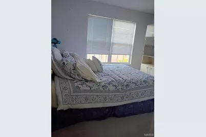 3110 Hickory Street, Saint Louis, MO 63104 - Photo 12