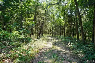 3116 Hwy P, Robertsville, MO 65066 - Photo 92