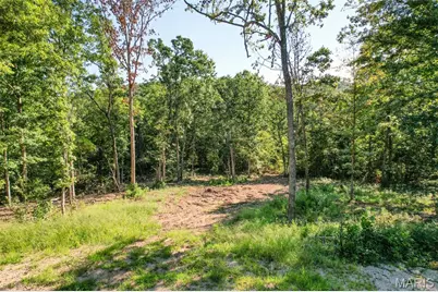 16902 State Highway F, Potosi, MO 63664 - Photo 4