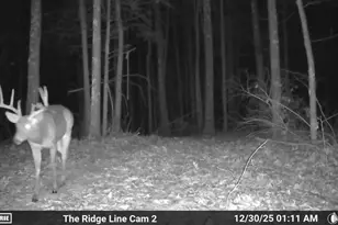 30172 State Hwy 94, Hermann, MO 65041 - Photo 98