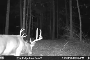 30172 State Hwy 94, Hermann, MO 65041 - Photo 94