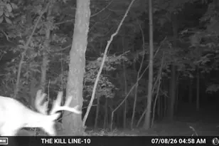 30172 State Hwy 94, Hermann, MO 65041 - Photo 96