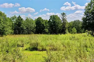 352 Hwy M, Shelbyville, MO 65565 - Photo 40