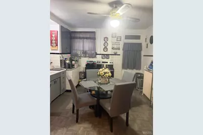 3710 S Spring Avenue, Saint Louis, MO 63116 - Photo 8