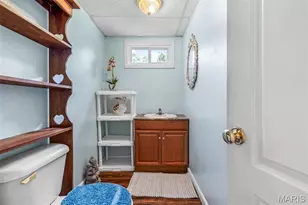 1649 St Francois Rd, Bonne Terre, MO 63628 - Photo 20