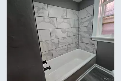 3915 Miami Street, Saint Louis, MO 63116 - Photo 20