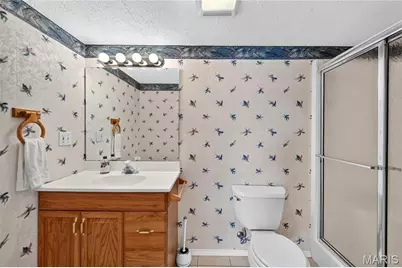 207 Spring Lake Drive, De Soto, MO 63020 - Photo 24