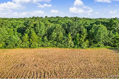 12621 Hyfield Road, De Soto, MO 63020 - Photo 4