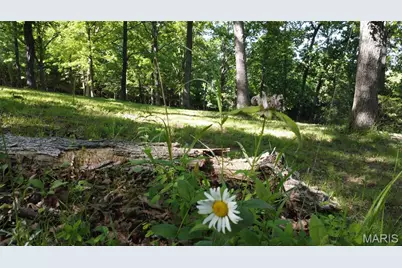 13505 State Rd E Road, De Soto, MO 63020 - Photo 36
