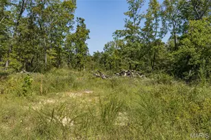 3001 Crow Ln, Unincorporated, MO 63628 - Photo 10