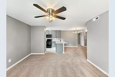 9733 Crayford Road #9E, Saint Louis, MO 63123 - Photo 4