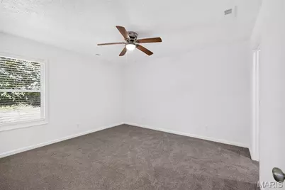 307 S Nettleton Avenue, Winfield, MO 65704 - Photo 14