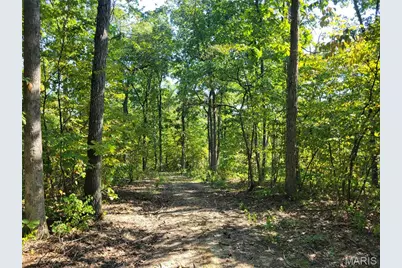 237 Jerry Miller Lane, Silex, MO 63377 - Photo 60