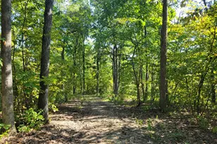 237 Jerry Miller Ln, Silex, MO 63377 - Photo 60