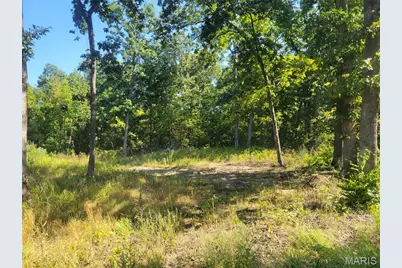 237 Jerry Miller Lane, Silex, MO 63377 - Photo 46