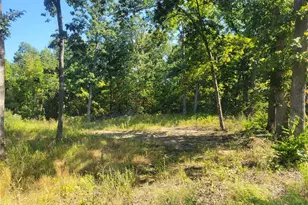 237 Jerry Miller Ln, Silex, MO 63377 - Photo 46