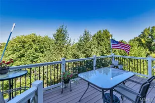 21 Meadow Vista Ct, Saint Peters, MO 63376 - Photo 48