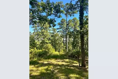 10168 Ayres Road, Potosi, MO 63664 - Photo 24