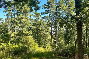 10168 Ayres Rd, Potosi, MO 63664 - Photo 24