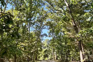 10168 Ayres Rd, Potosi, MO 63664 - Photo 22