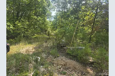 8607 John McKeever Road, Pacific, MO 63069 - Photo 2