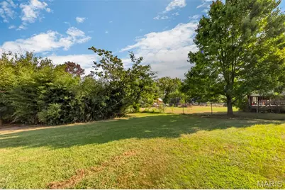 1009 Southway Drive, Bowling Green, MO 63334 - Photo 46