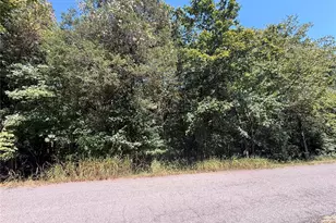 0 Terre Bleue and Hedgeapple Dr, Bonne Terre, MO 63628 - Photo 1