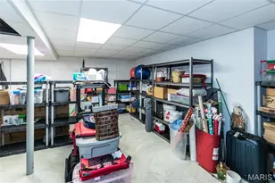 332 Golden Cherry Dr, Grover, MO 63040 - Photo 46