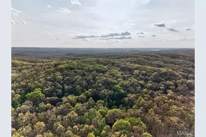 4273 Highway 47, Lonedell, MO 63060 - Photo 38