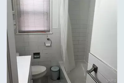 4047 Louis Street, Saint Louis, MO 63116 - Photo 10