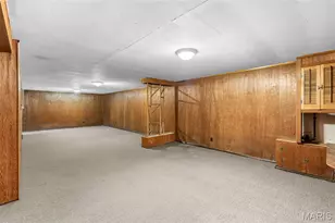 3951 French Ct, Saint Louis, MO 63116 - Photo 22