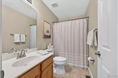 14737 Ladue Bluffs Crossing Drive, Chesterfield, MO 63017 - Photo 20