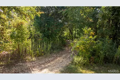 7192 Jones Road, Bloomsdale, MO 63627 - Photo 6