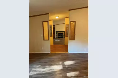 10123 Dorlac Drive, Cadet, MO 63630 - Photo 2